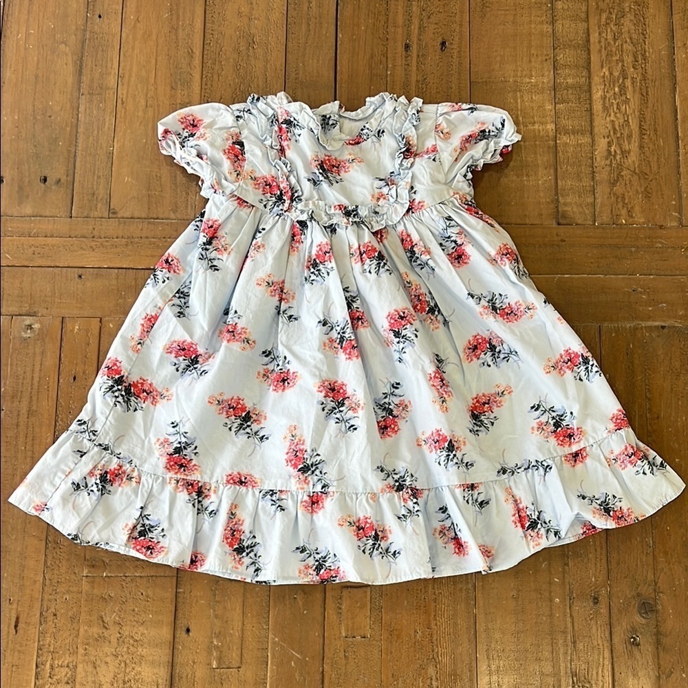 Janie and jack blue floral bouquet ruffled dress